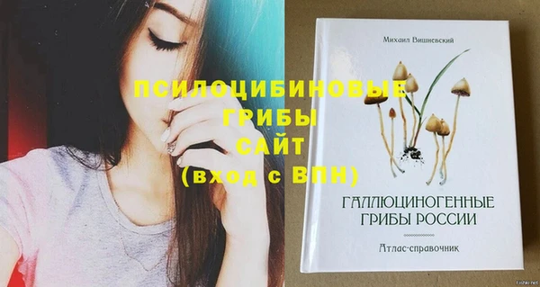стафф Арсеньев