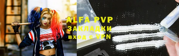 стафф Арсеньев