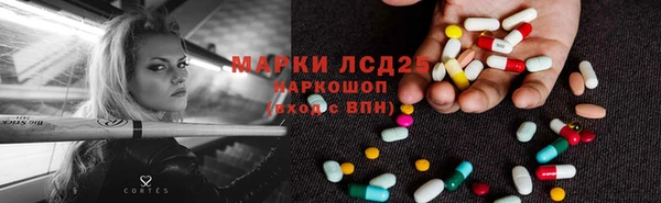 стафф Арсеньев