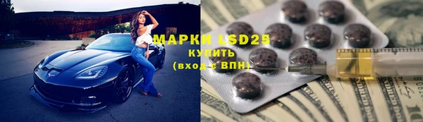 гашик Аркадак
