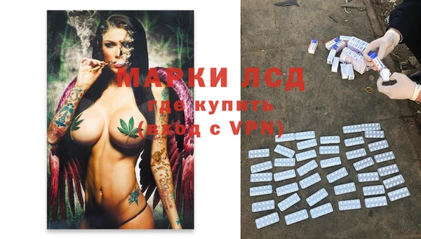 стафф Арсеньев
