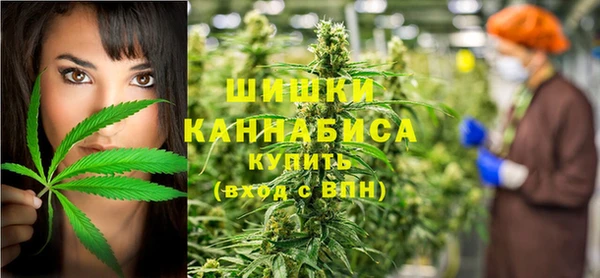 гашик Аркадак