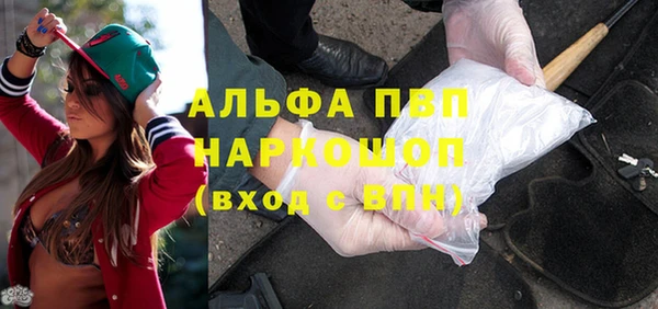 стафф Арсеньев
