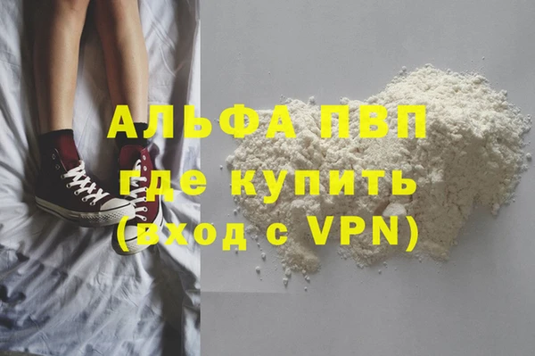 стафф Арсеньев